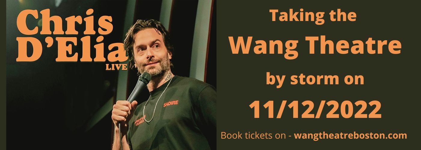 Chris D'Elia at Wang Theatre