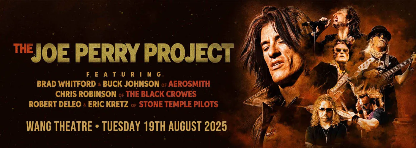 The Joe Perry Project